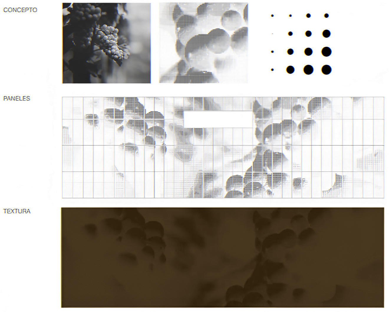 Proceso de abstracción del racimo de uvas hasta la geometría de perforaciones de la fachada del CVAD